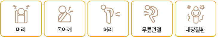 머리, 목/어깨, 허리, 무릎관절,내장질환 