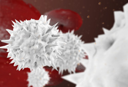 면역세포(NK cell)활성화 검사