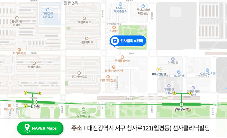 주소 : 대전광역시 서구 월평2동 273번지 선사클리닉
 